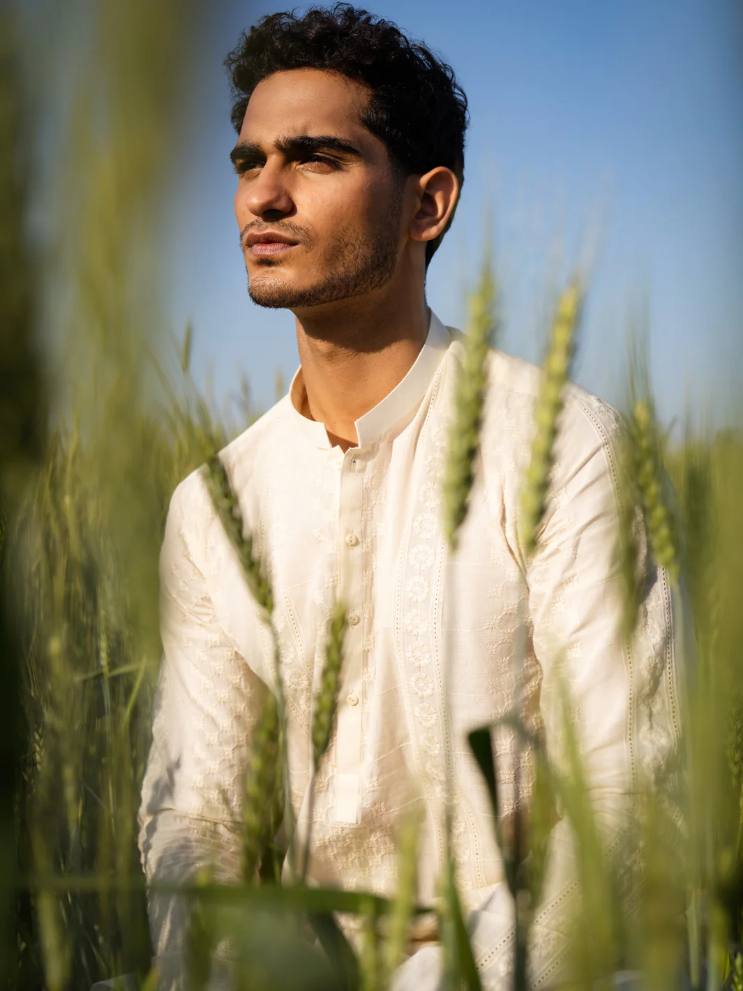 Cream Cotton Kurta - AL-K-1255C - Image 2
