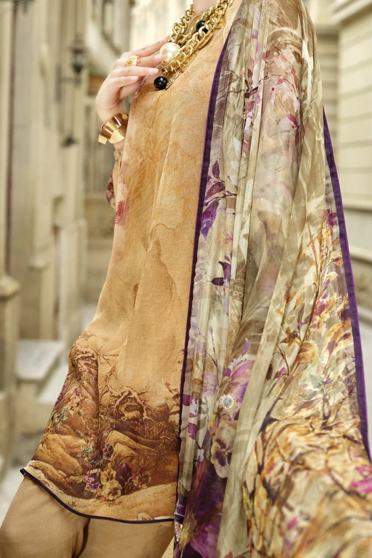 Beige Chiffon 3 Piece Stitched - ALP-688 - Image 3